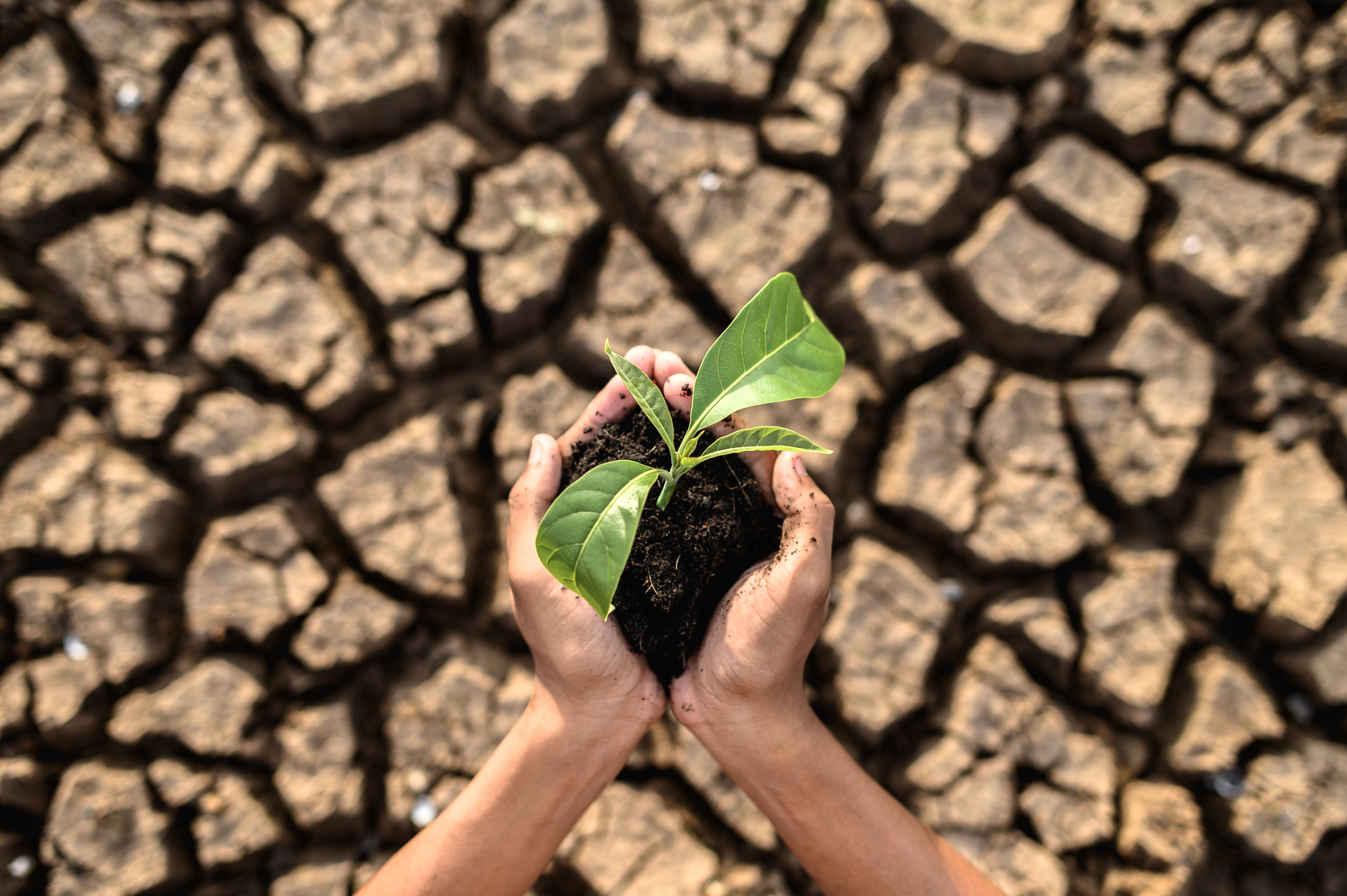 On Earth Day, Panthaion is Built to Protect the Climate Data the World Depends On